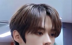 리노는 고양이다vs토끼다