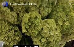 리노 구찌 패션쇼 참석.