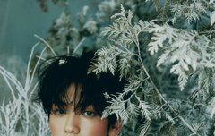 일본컨포 개예쁨