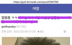 한동훈 가발