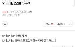 나 개구리다했던앤데