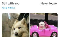 ㅋㅋㅋㅋㅋㅋㅋㅋ