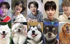 너무귀여워서울고싶음