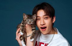 The kitten lnterview