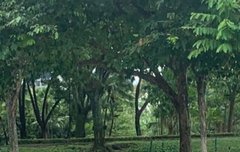 사히재혁 목격담 뭐 찍고있나봐