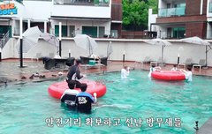 슼둥이네 하극상시리즈