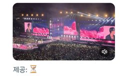 스테이 반응 커염지네