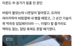 바람이 불었는데