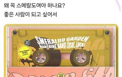 왜 꼭 스메랄도여야하나요?