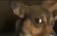 이상형 마주쳤을때 반응