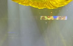 뀨 왜 혼자서 노래하다 빵터진거야??ㅋㅋㅋ