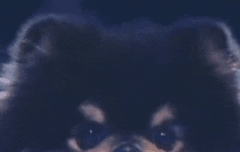 연탄이 무대 한번 더 하자