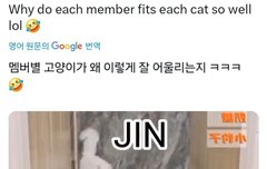 봤을것 같다 ㅋㅋㅋ 멤버별 고양이