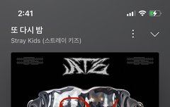 얘들아 너네 콘서트