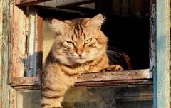 오늘 햇빛 넘 강해