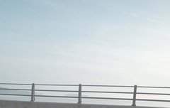 고양이도 태현이가 좋은지