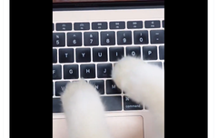 베리레드톡)사담