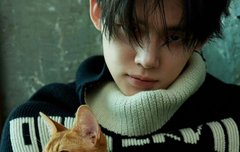 연준이 고양이랑