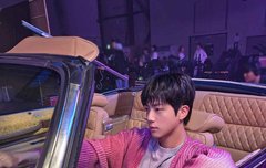 아비데어 돌비진