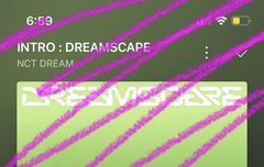 투어도느라 피곤한데