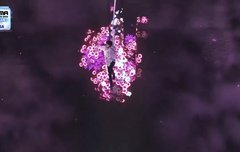 태현이랑 꽃이랑 진짜 뭐 있나