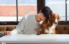 회전목마 탄 왕자님이 한 말이 아니었다닛