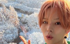 싸우지들마시고