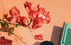 클로즈 유어 아이즈 ETERNALT 컨포 3