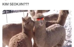 ㅋㅋㅋㅋㅋㅋㅋ