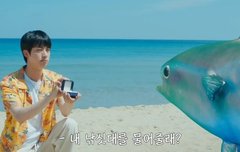 석진형 참치만 사랑해죠 젭알