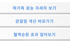 마가목 효능 총정리