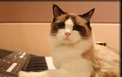 베리레드톡)Always happy day