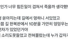 엔하이픈 선우 미담 봐….