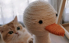 베리레드톡)납량특집(?)