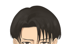 리바이 증사그려옴