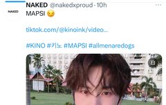 이 틱톡 추반해줘