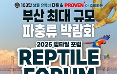 ✨2025 코리아 렙타일 포럼 in 부산!
