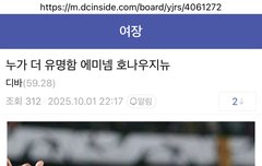 영부인은 잠적하고 대역은 입만열면 빚빚빚