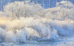 상고대 ! 겨울 아침의 신비로운 자연 예술