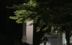 [단독] "커플템+달달 눈빛교환"…'열애' 레드벨벳 조이크러쉬, 반려견 산책 데이트 현장(종합)