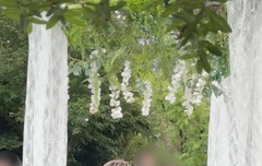 레드벨벳 조이 박수영 결혼할 신랑 크러쉬 신효섭