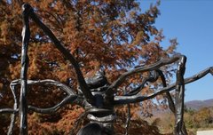 정은채, 김충재와 가을 데이트? 숏컷→단발로 더 우아해진 옥경왕자