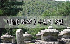 [좋은글]  태실胎室 수난기 3편