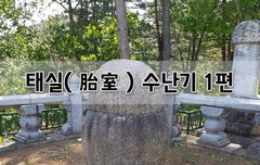 [좋은글]  태실胎室 수난기 1편