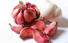 [좋은글] 꿀과 마늘의 효능