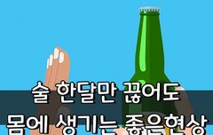 [좋은글] 술 한달만 끊어도 몸에 생기는 좋은현상