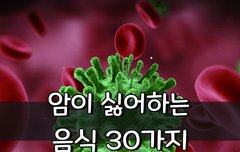 [좋은글] 암이 싫어하는 음식 30가지
