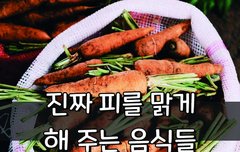[좋은글] 진짜 피를 맑게 해 주는 음식들