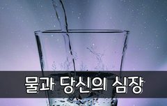 [좋은글] 물과 당신의 심장