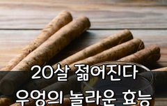 [좋은글] ◇ 20살 젊어진다, 우엉의 놀라운 효능 10가지